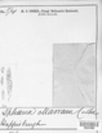 Phaeosphaeria marram image